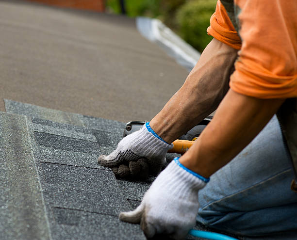 Best Roof Gutter Cleaning  in Rainsville, AL