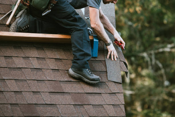 Best Storm Damage Roof Repair  in Rainsville, AL